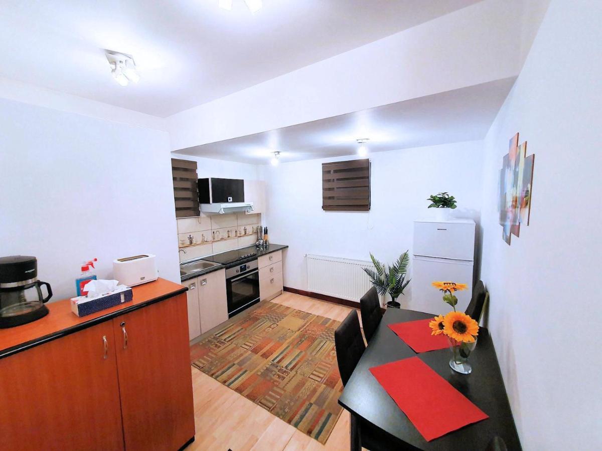 Best Choice Studio Apartment Sinaia Exterior foto