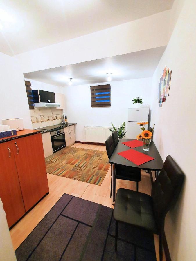 Best Choice Studio Apartment Sinaia Exterior foto